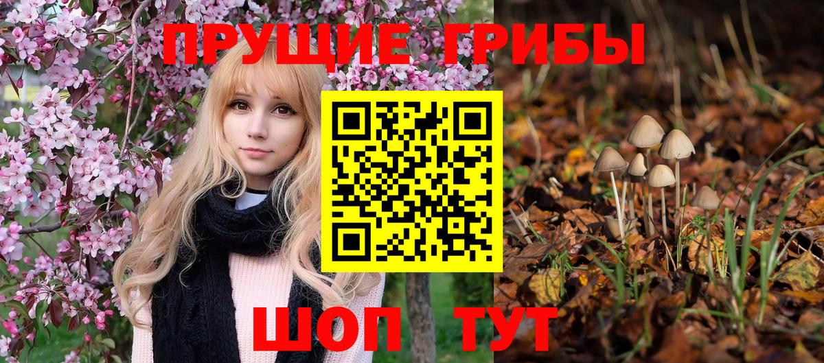 Ржев  Галлюциногенные грибы MAGIC MUSHROOMS  Псилоцибиновые грибы GOLDEN TEACHER  Вход с VPN 